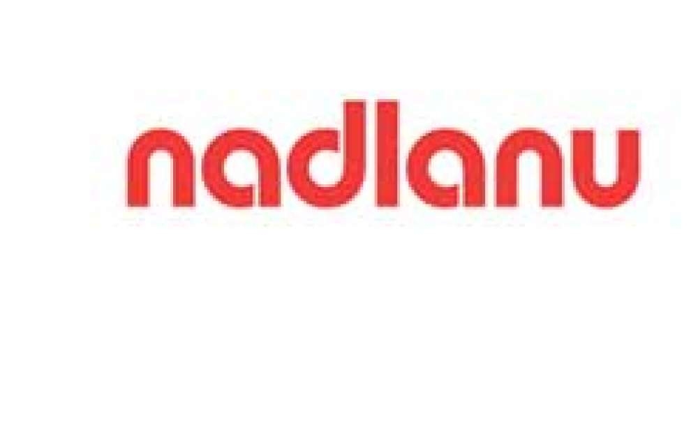 nadlanu_logo